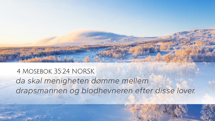 4 Mosebok 35:24 NORSK Bible Verse Image