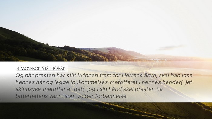 4 Mosebok 5:18 NORSK Desktop Wallpaper - Og når presten har stilt kvinnen frem for - Desktop Bible Verse Wallpaper