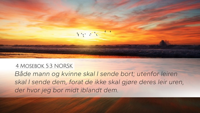 4 Mosebok 5:3 NORSK Desktop Wallpaper - Både mann og kvinne skal I sende bort; utenfor - Desktop Bible Verse Wallpaper