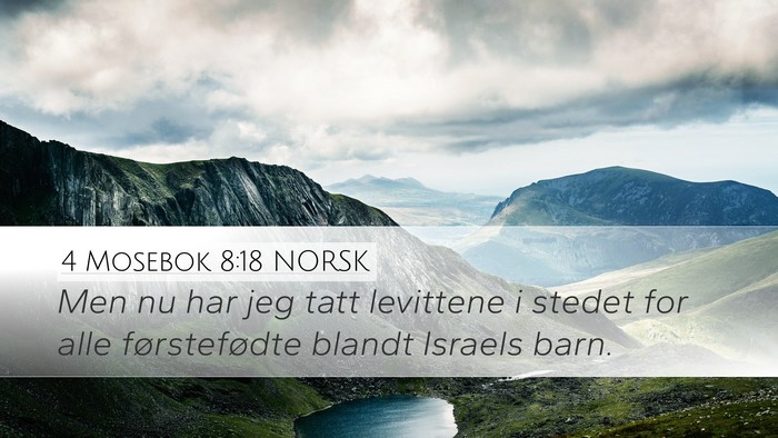 4 Mosebok 8:18 NORSK Desktop Wallpaper - Men nu har jeg tatt levittene i stedet for alle - Desktop Bible Verse Wallpaper