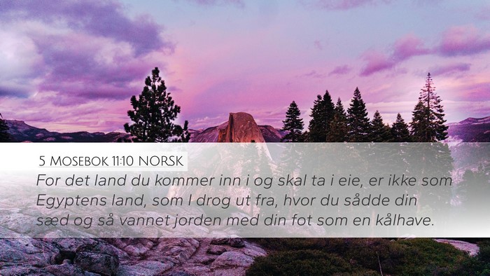 5 Mosebok 11:10 NORSK Bible Verse Image