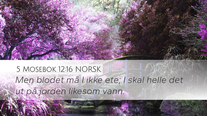 5 Mosebok 12:16 NORSK Bible Verse Image
