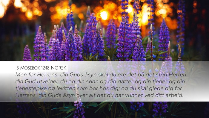 5 Mosebok 12:18 NORSK Bible Verse Image
