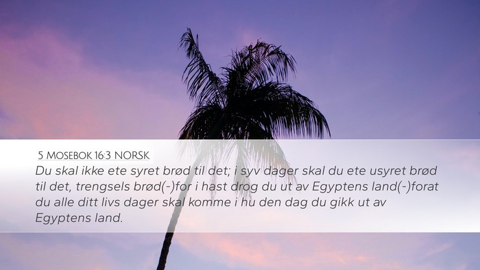 5 Mosebok 16:3 NORSK Bible Verse Image