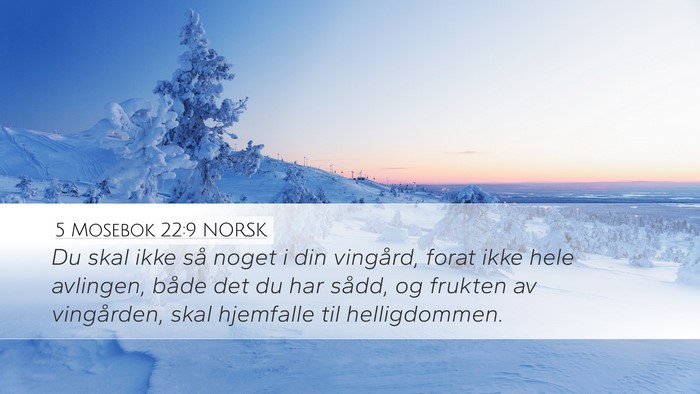 5 Mosebok 22:9 NORSK Desktop Wallpaper - Du skal ikke så noget i din vingård, forat ikke - Desktop Bible Verse Wallpaper