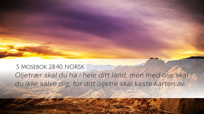 5 Mosebok 28:40 NORSK Desktop Wallpaper - Oljetrær skal du ha i hele ditt land, men med - Desktop Bible Verse Wallpaper