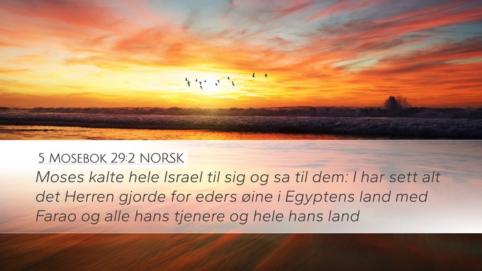 5 Mosebok 29:2 NORSK Bible Verse Image