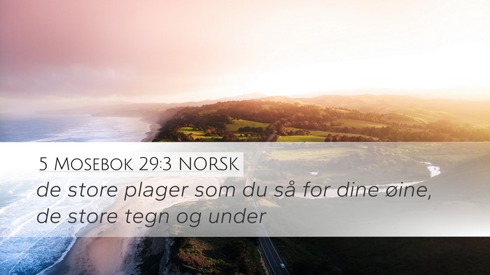 5 Mosebok 29:3 NORSK Bible Verse Image