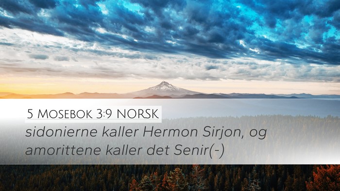 5 Mosebok 3:9 NORSK Desktop Wallpaper - sidonierne kaller Hermon Sirjon, og amorittene - Desktop Bible Verse Wallpaper