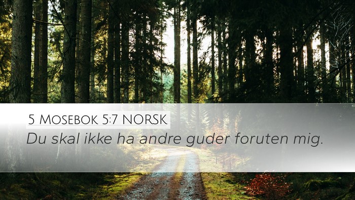 5 Mosebok 5:7 NORSK Desktop Wallpaper - Du skal ikke ha andre guder foruten - Desktop Bible Verse Wallpaper