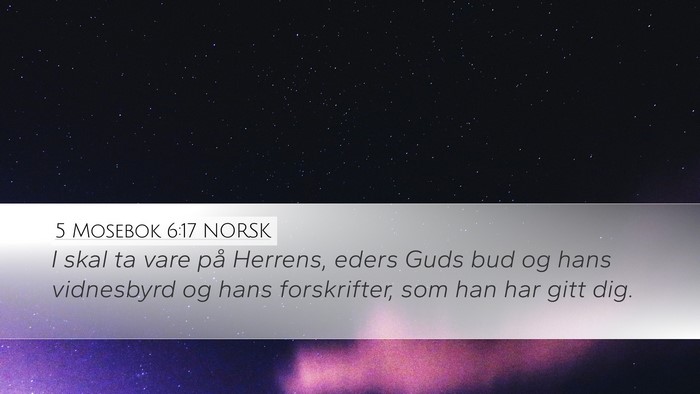 5 Mosebok 6:17 NORSK Bible Verse Image