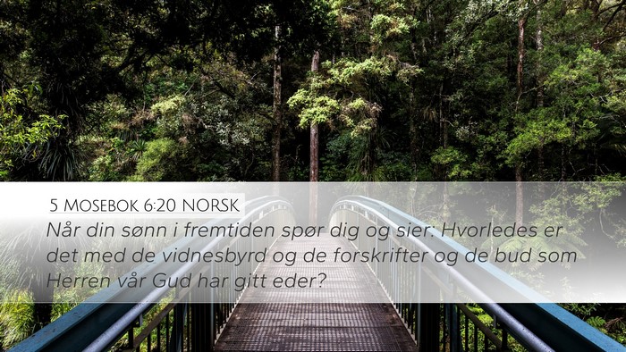 5 Mosebok 6:20 NORSK Bible Verse Image