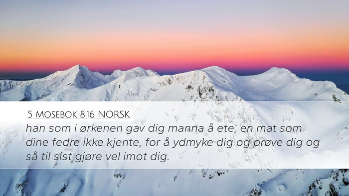 5 Mosebok 8:16 NORSK Bible Verse Image