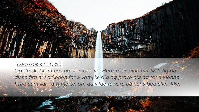 5 Mosebok 8:2 NORSK Bible Verse Image