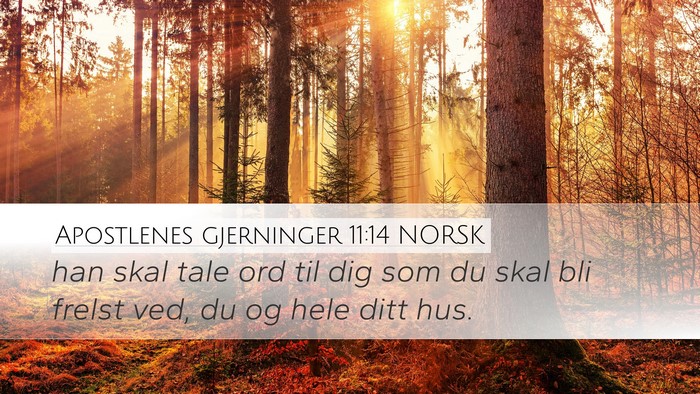 Apostlenes gjerninger 11:14 NORSK Bible Verse Image
