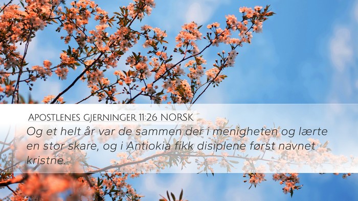 Apostlenes gjerninger 11:26 NORSK Bible Verse Image