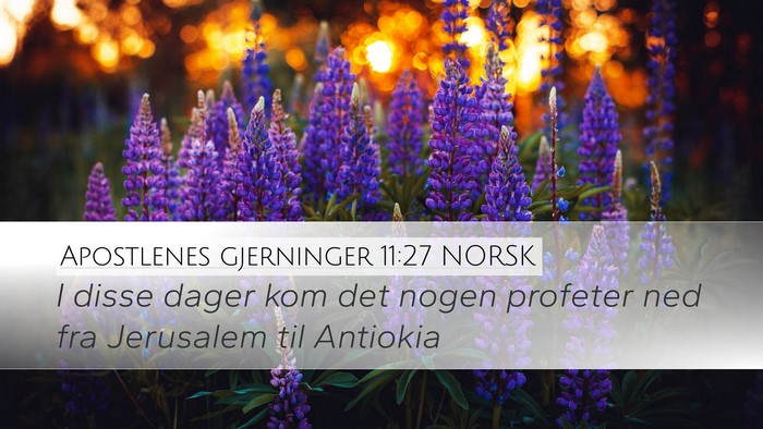 Apostlenes gjerninger 11:27 NORSK Bible Verse Image