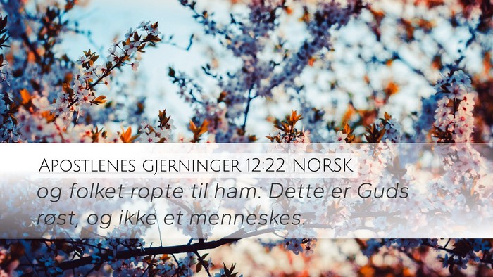 Apostlenes gjerninger 12:22 NORSK Bible Verse Image