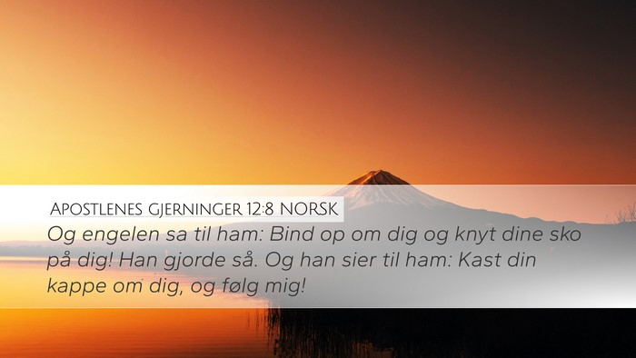 Apostlenes gjerninger 12:8 NORSK Bible Verse Image