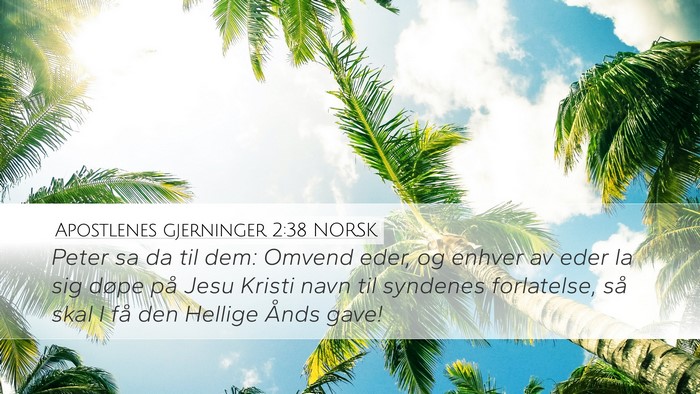 Apostlenes gjerninger 2:38 NORSK Bible Verse Image