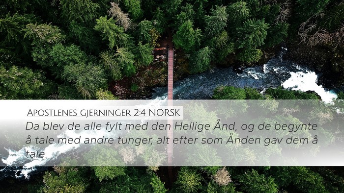 Apostlenes gjerninger 2:4 NORSK Bible Verse Image