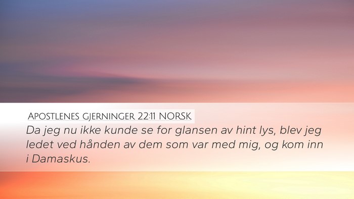 Apostlenes gjerninger 22:11 NORSK Bible Verse Image
