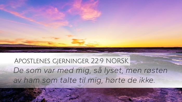 Apostlenes gjerninger 22:9 NORSK Bible Verse Image