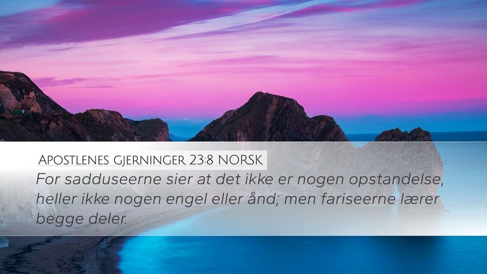 Apostlenes gjerninger 23:8 NORSK Bible Verse Image