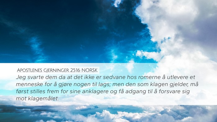 Apostlenes gjerninger 25:16 NORSK Bible Verse Image