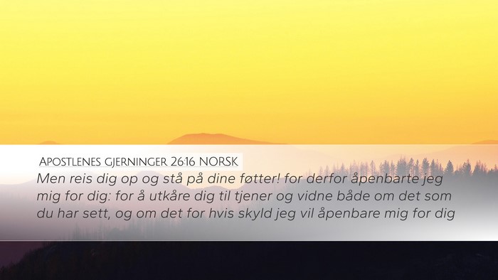 Apostlenes gjerninger 26:16 NORSK Bible Verse Image