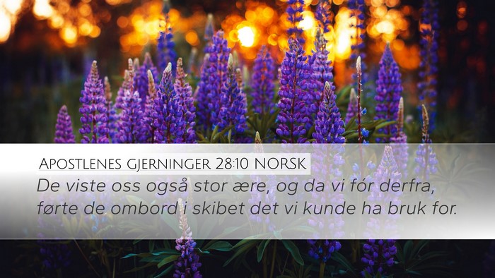 Apostlenes gjerninger 28:10 NORSK Bible Verse Image
