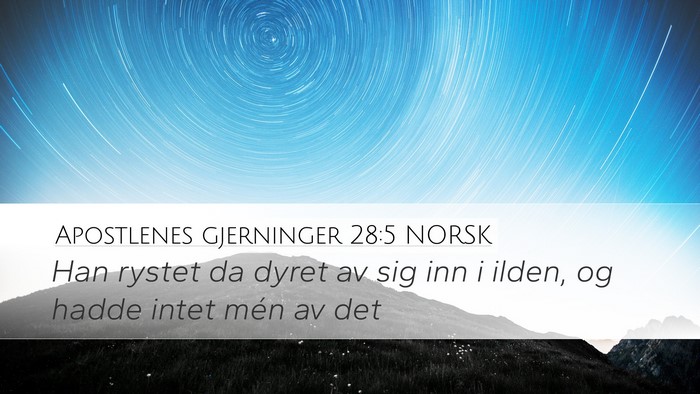 Apostlenes gjerninger 28:5 NORSK Bible Verse Image