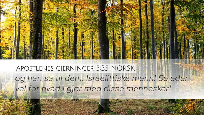 Apostlenes gjerninger 5:35 NORSK Bible Verse Image