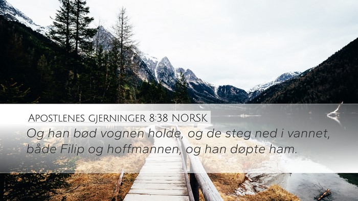 Apostlenes gjerninger 8:38 NORSK Desktop Wallpaper - Og han bød vognen holde, og de steg ned i - Desktop Bible Verse Wallpaper