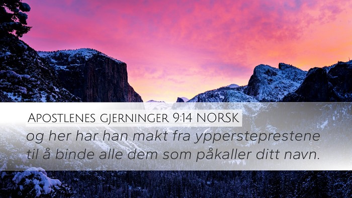 Apostlenes gjerninger 9:14 NORSK Bible Verse Image