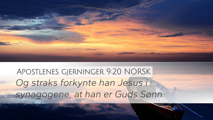 Apostlenes gjerninger 9:20 NORSK Bible Verse Image