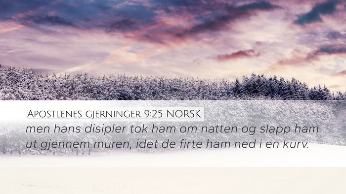 Apostlenes gjerninger 9:25 NORSK Bible Verse Image