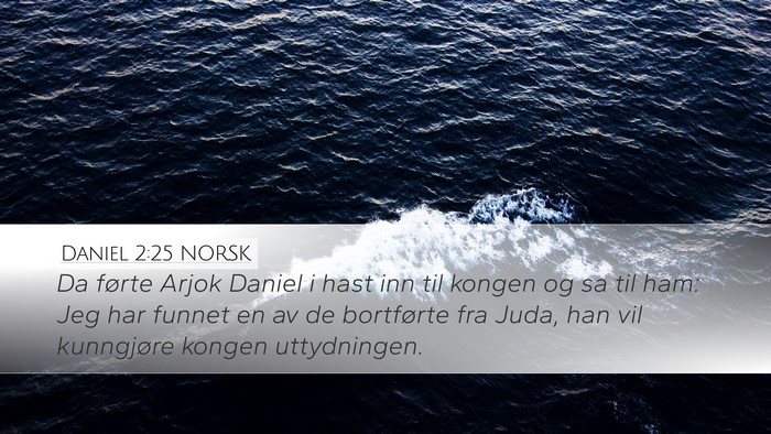 Daniel 2:25 NORSK Bible Verse Image