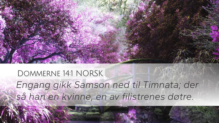 Dommerne 14:1 NORSK Bible Verse Image