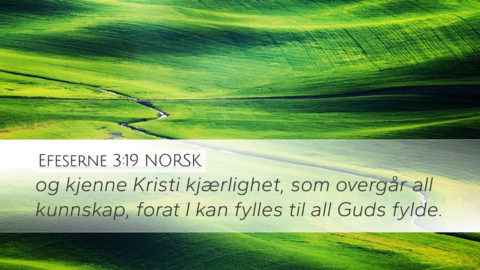 Efeserne 3:19 NORSK Bible Verse Image