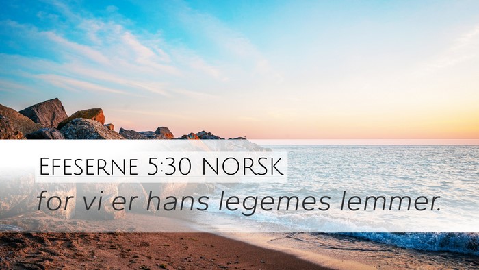 Efeserne 5:30 NORSK Bible Verse Image