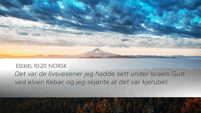 Esekiel 10:20 NORSK Bible Verse Image