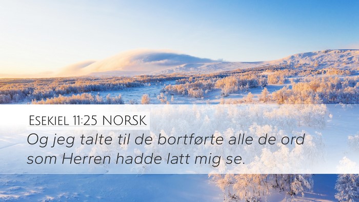 Esekiel 11:25 NORSK Bible Verse Image