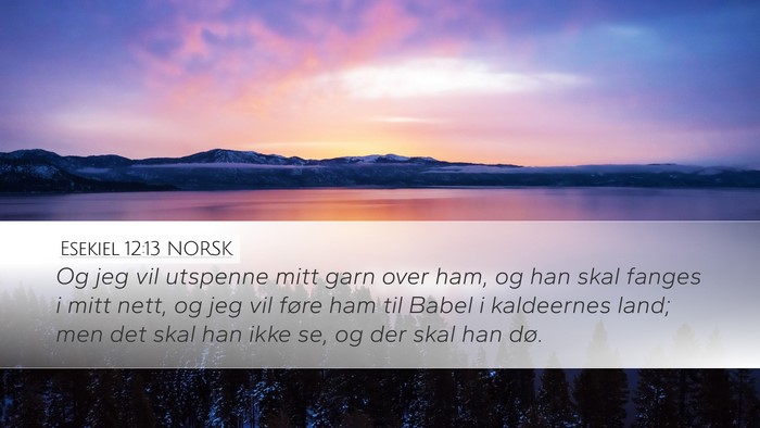 Esekiel 12:13 NORSK Bible Verse Image