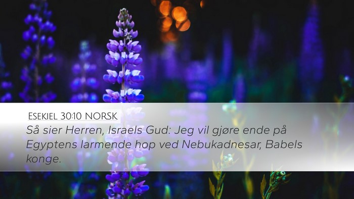 Esekiel 30:10 NORSK Bible Verse Image