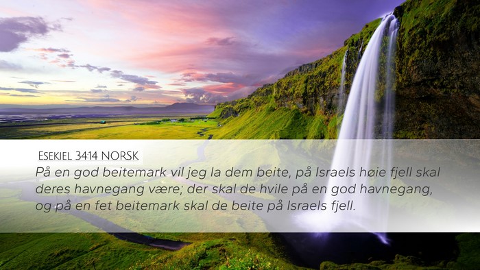Esekiel 34:14 NORSK Bible Verse Image