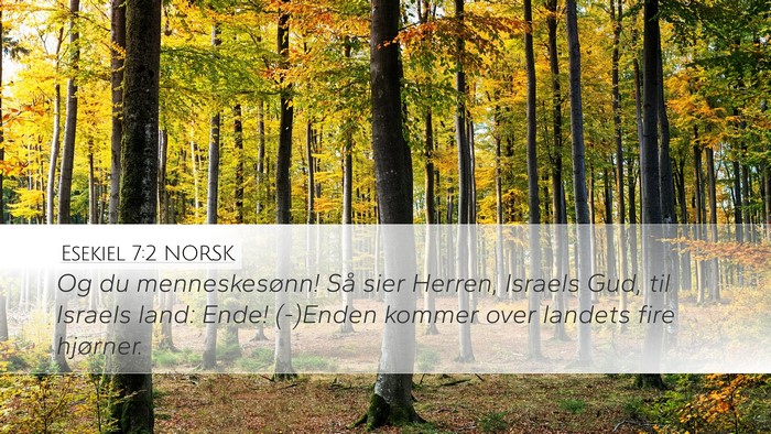 Esekiel 7:2 NORSK Bible Verse Image