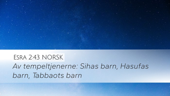 Esra 2:43 NORSK Bible Verse Image