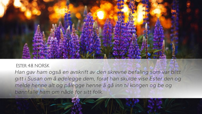 Ester 4:8 NORSK Bible Verse Image