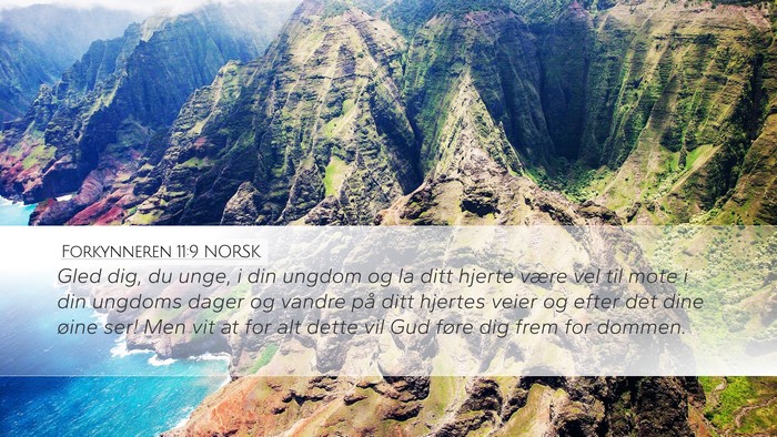 Forkynneren 11:9 NORSK Bible Verse Image